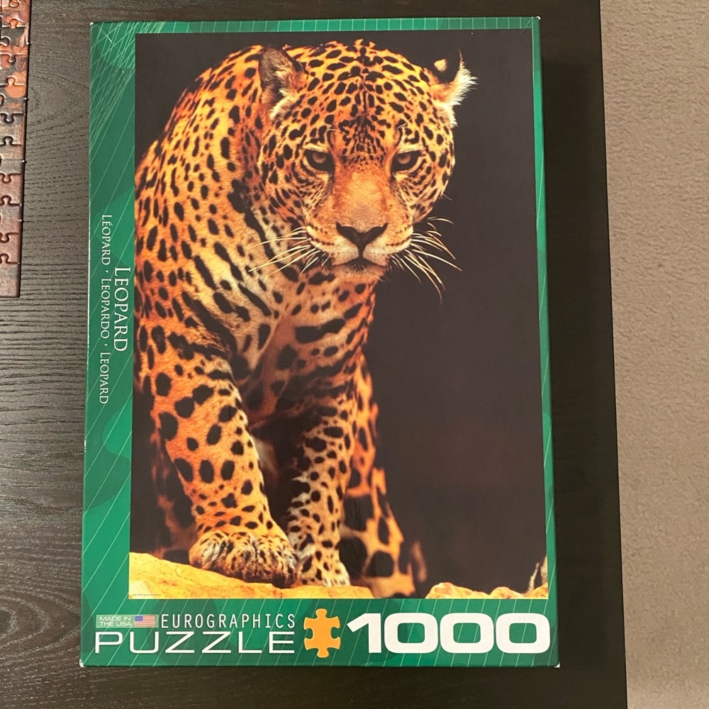 🧩 1000 piece Jigsaw Puzzle